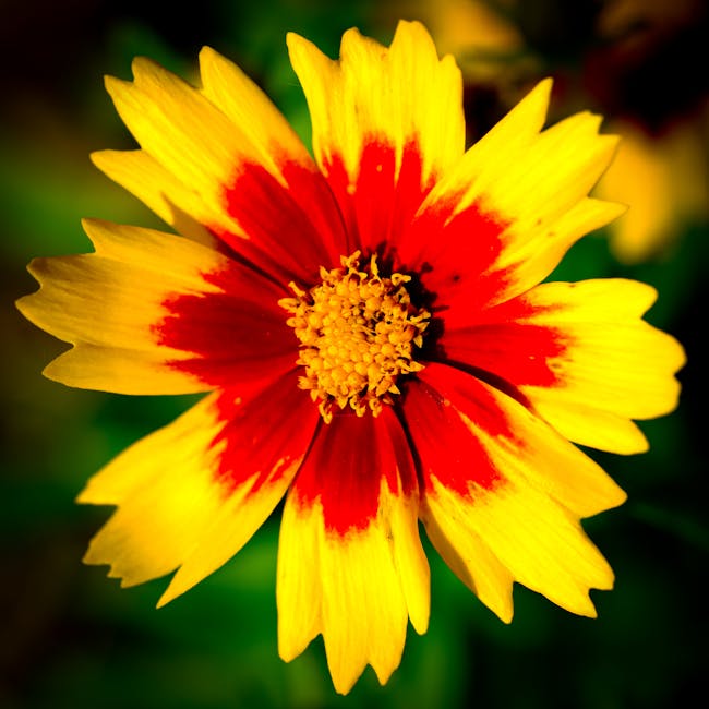 Vibrant flower representing botanical vitality